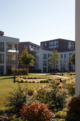 schleusengraben sept. 2011 017.jpg